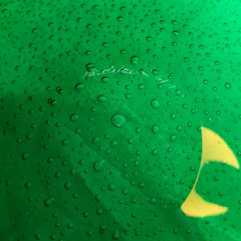 MASSIVE Signed Hadeland Gladverk "Greenland " Platter 1950 Arne Jon Jutrem - Picture 8 of 11